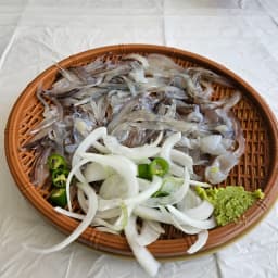산오징어회