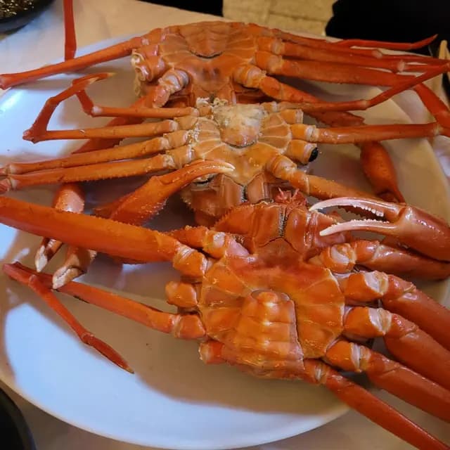 좋은열매ㅎ님이 리뷰에 올린 사진